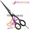 Professional Hair Scissors