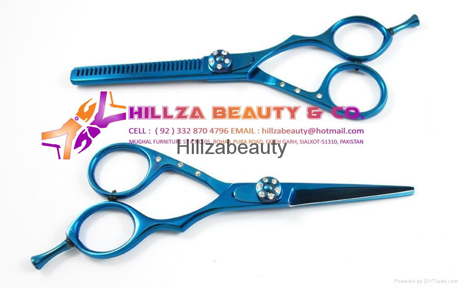 Professional Hair Scissors