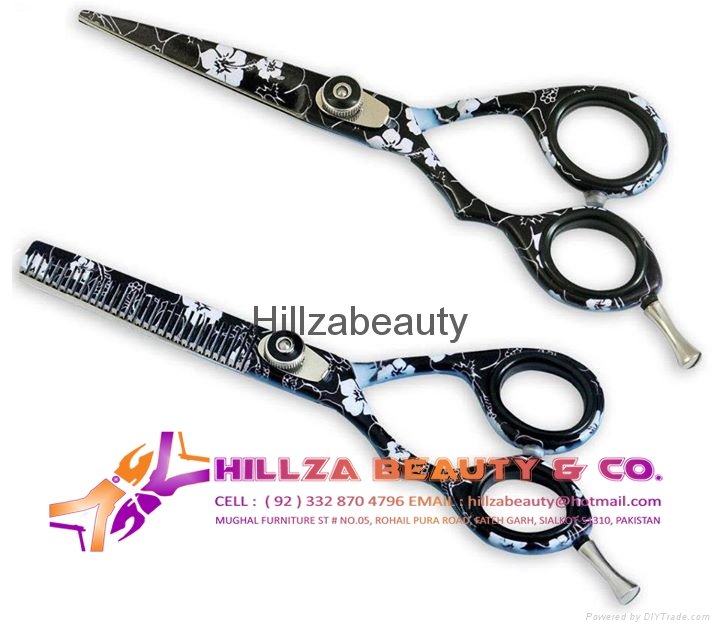 Professional Hair Scissors 2