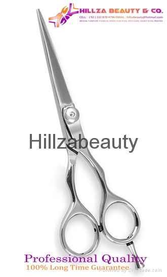 Professional Hair Scissors 2