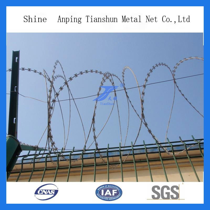 High Security Wire Mesh Fence 3