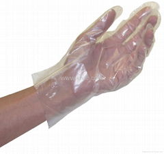 biodegrade disposable PE gloves