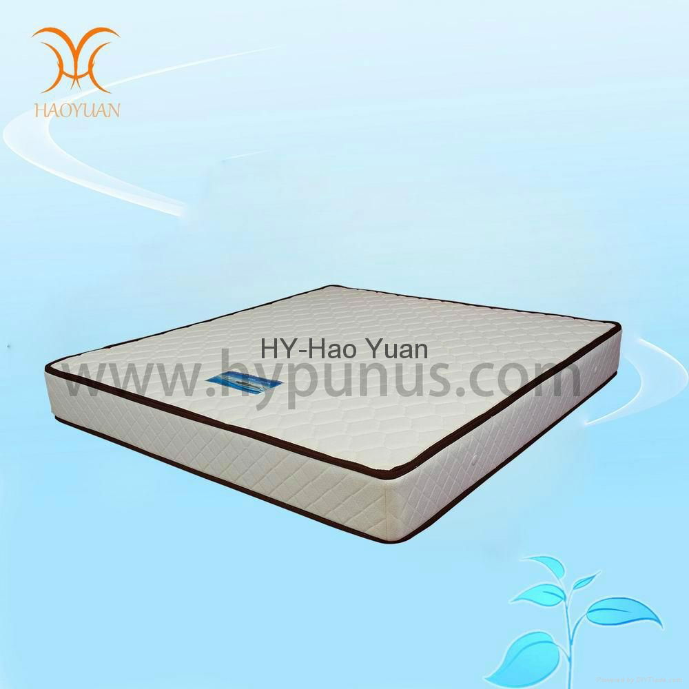 Home & Dream 3E Natural Coconut Coir and Spring Mattress for Old People DH-618