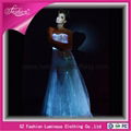 Luminous Long Evening Dress YQ-50 1