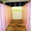 jialifu hpl laminate sheet & compact laminates hpl toilet partitions 4