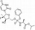 sofosbuvir