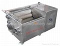 stainless steel vegetable washer machine