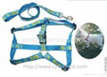 Flat polyester lanyard dog collar and leash set 2