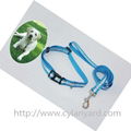 custom webbing dog collar and dog lead gift sets