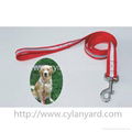 Heavy duty polyester webbing dog collar and lead set 3