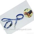 Heavy duty polyester webbing dog collar and lead set 1