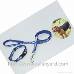 Heavy duty polyester webbing dog collar and lead set