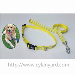 outdoor wander dog collar and dog lead set