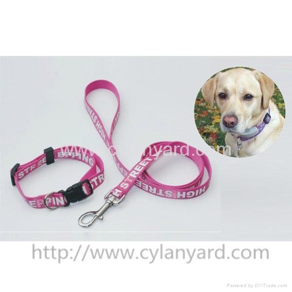 Choose the right dog collars and leashes for your pets 5