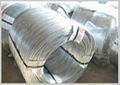 Galvanized Steel Wire 1