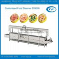 Stainless Steel Continuous food steamer 1