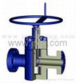 FC gate valve