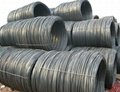 5.5mm steel wire rod in coils  2