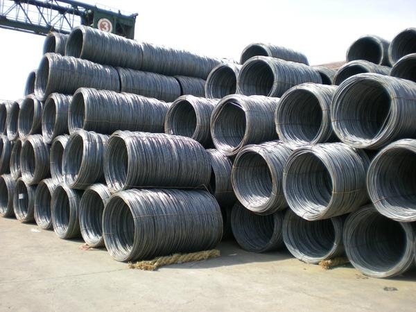 5.5mm steel wire rod in coils  5