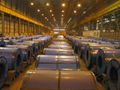 hot-dipped galvanized steel plate / coil