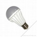 A60 led bulb