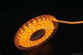 Amber LED strips 1