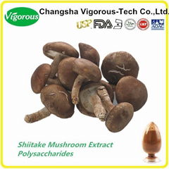 Pure natural Shiitake Mushroom Extract/Shiitake Mushroom Extract Powder