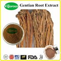 Chinese traditional medicine Gentiana Root Extract 1