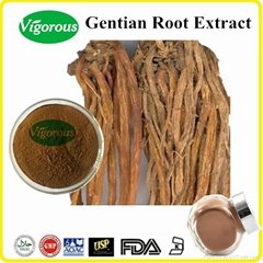 Chinese traditional medicine Gentiana Root Extract
