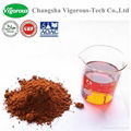 instant tea extract powder/instant black tea extract powder 1