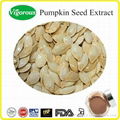 Water soluble Pumpkin Seed Extract/Pumpkin Seed Extract Powder 1