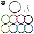 G23 Titanium Hinged Segment Nose Ring