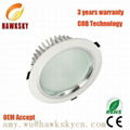 Power energy  LED downlight Bulb led