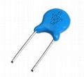 CT81 High Voltage Ceramic Capacitor 1