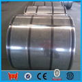 prepainted galvanized steel sheet in coil  5