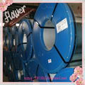 Silicon Steel Coil-CRNGO & CRGO-50W800 5