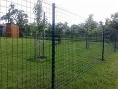 Euro Fence