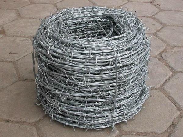 Barbed Wire 4