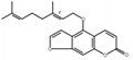 Bergamotine