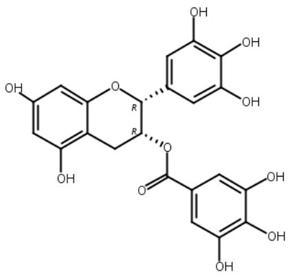 EGCG