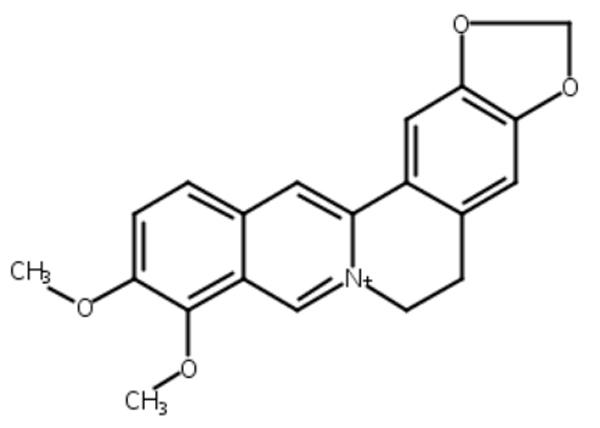 Berberine