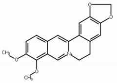 Berberine