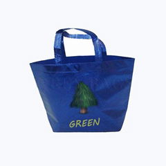 non woven bag