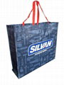 non woven bag 1