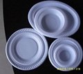 Disposable Plastic Plate  dish 2
