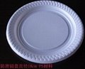 Disposable Plastic Plate  dish 4