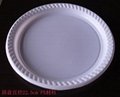 Disposable Plastic Plate  dish 5