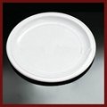 plastic plate dish 2
