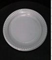 plastic plate dish 4