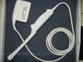 Philips C8-4V Transvaginal 11 mm Ultrasound Transducer 